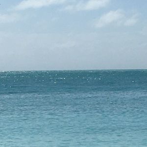 Meet your Posher, Peggy